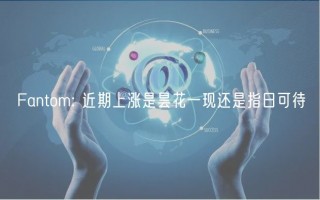 Fantom: 近期上涨是昙花一现还是指日可待