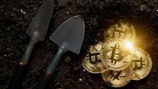 fil币今日暴跌的最新消息(今日fil币价格）