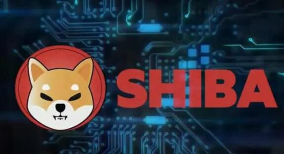 全球数字货币交易所排名前10名单(币币交易排行汇总)